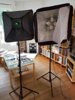 Kit projecteur daylight softbox          VENDU