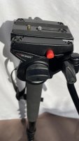 Monopode Manfrotto 561BHDV