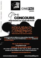 Appel à film & scénario- Festival des Nouveaux Cinémas 2013
