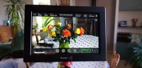 Blackmagic Video Assist 4K 7""