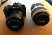 Canon 7D mark 2 , 18-135 STM, 70-300 L IUSM