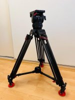 TREPED SACHTLER 1811MS