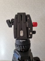 TREPIED SACHTLER