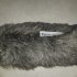 BONNETTE / WINDSHIELD RYCOTE SOFTIE SFT18MHF : 18 CM MH