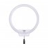 Lampe LED circulaire Yongnuo Ring LED YN-308 - 3200 à 5500K