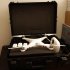 drone DJI Phantom 2 - Zenmuse HD3-3D - Gopro 4 Black édition - Moniteur HF - 4 batteries - Flightcase